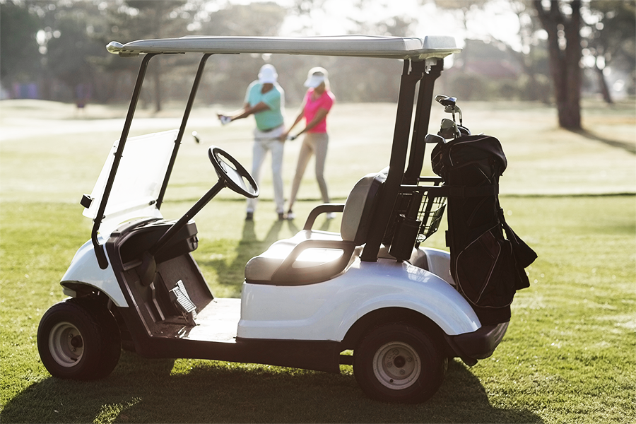 Shop Vmax batteries for golf carts and EVs.